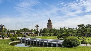 2026世界杯官网 新蔡城市绿化项目中标公告