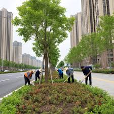 2026世界杯官网 铜陵建设校园绿化工程项目
